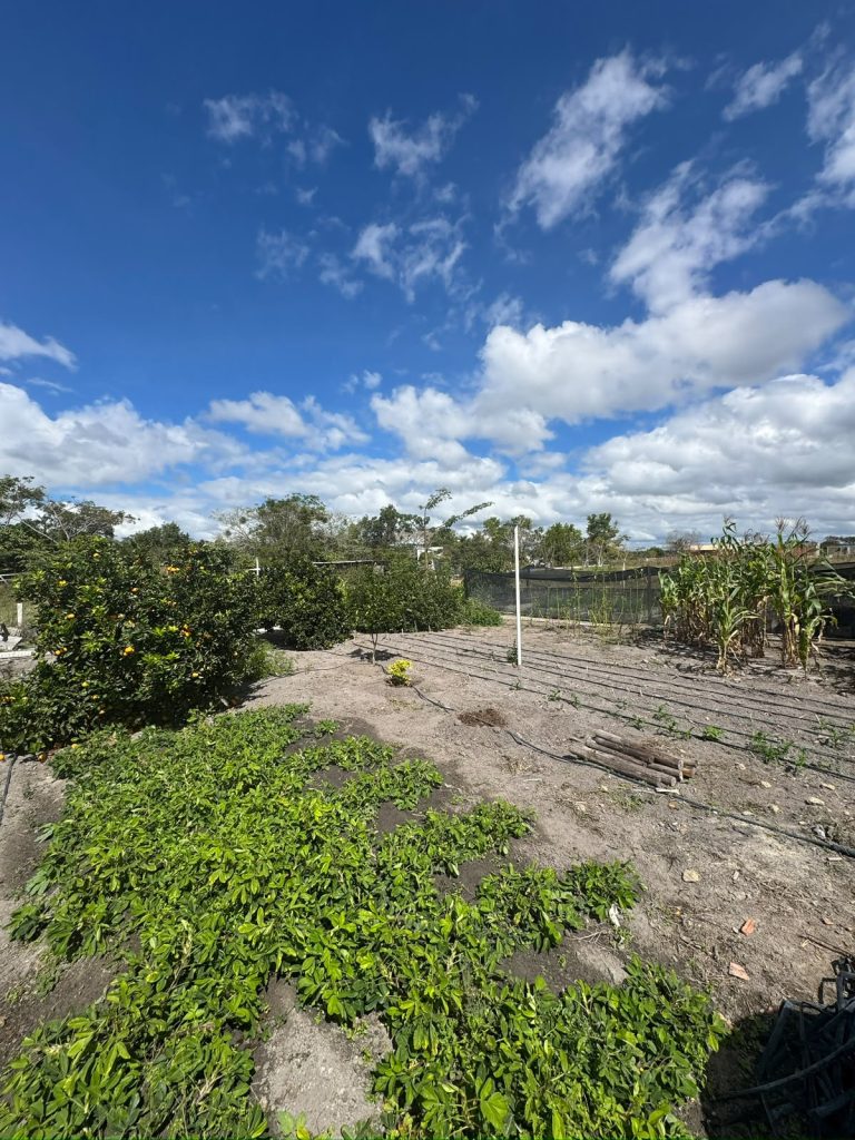 VENDE-SE CASA – SÍTIO EM CONDOMÍNIO FECHADO PROXIMO AO HARAS RESIDENCE